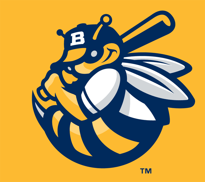 Burlington Bees 2007-Pres Cap Logo v4 iron on transfers for T-shirts